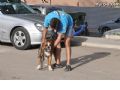 Concurso canino - 8 Concurso canino - 8